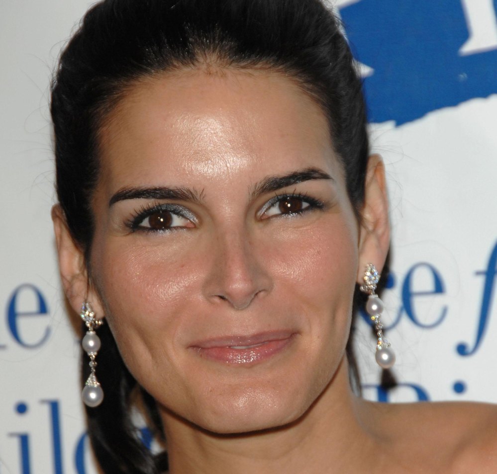 >Angie Harmon