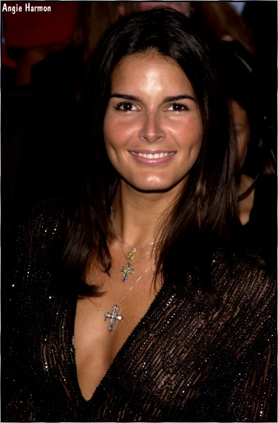 >Angie Harmon