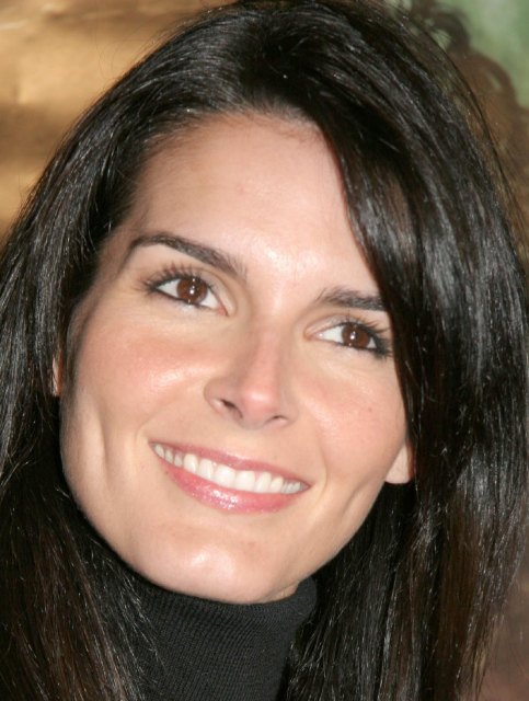 >Angie Harmon