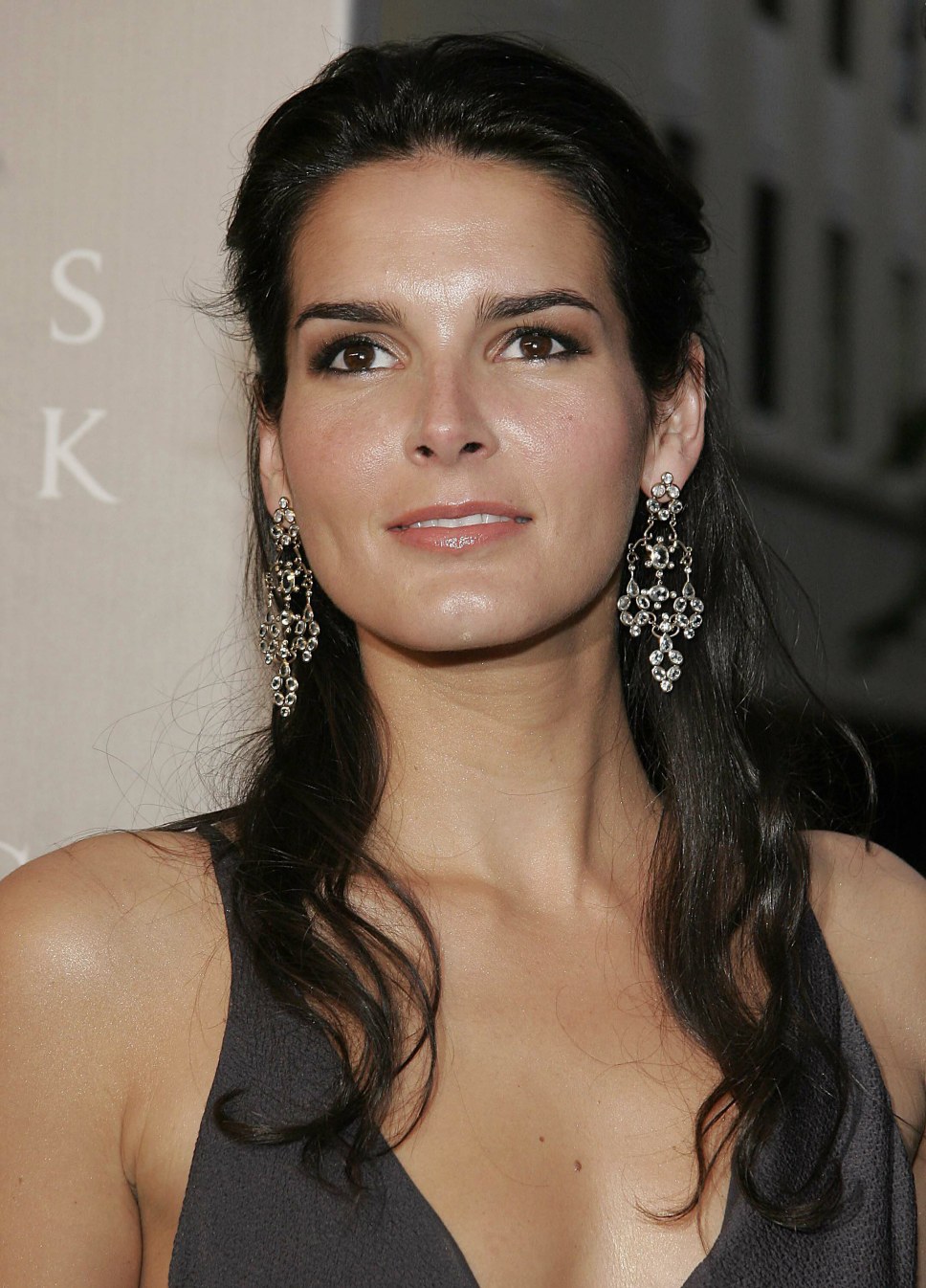 >Angie Harmon