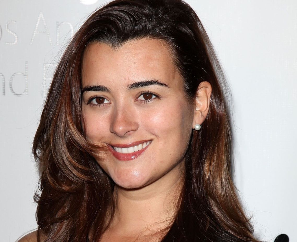 Cote de pablo undercovers