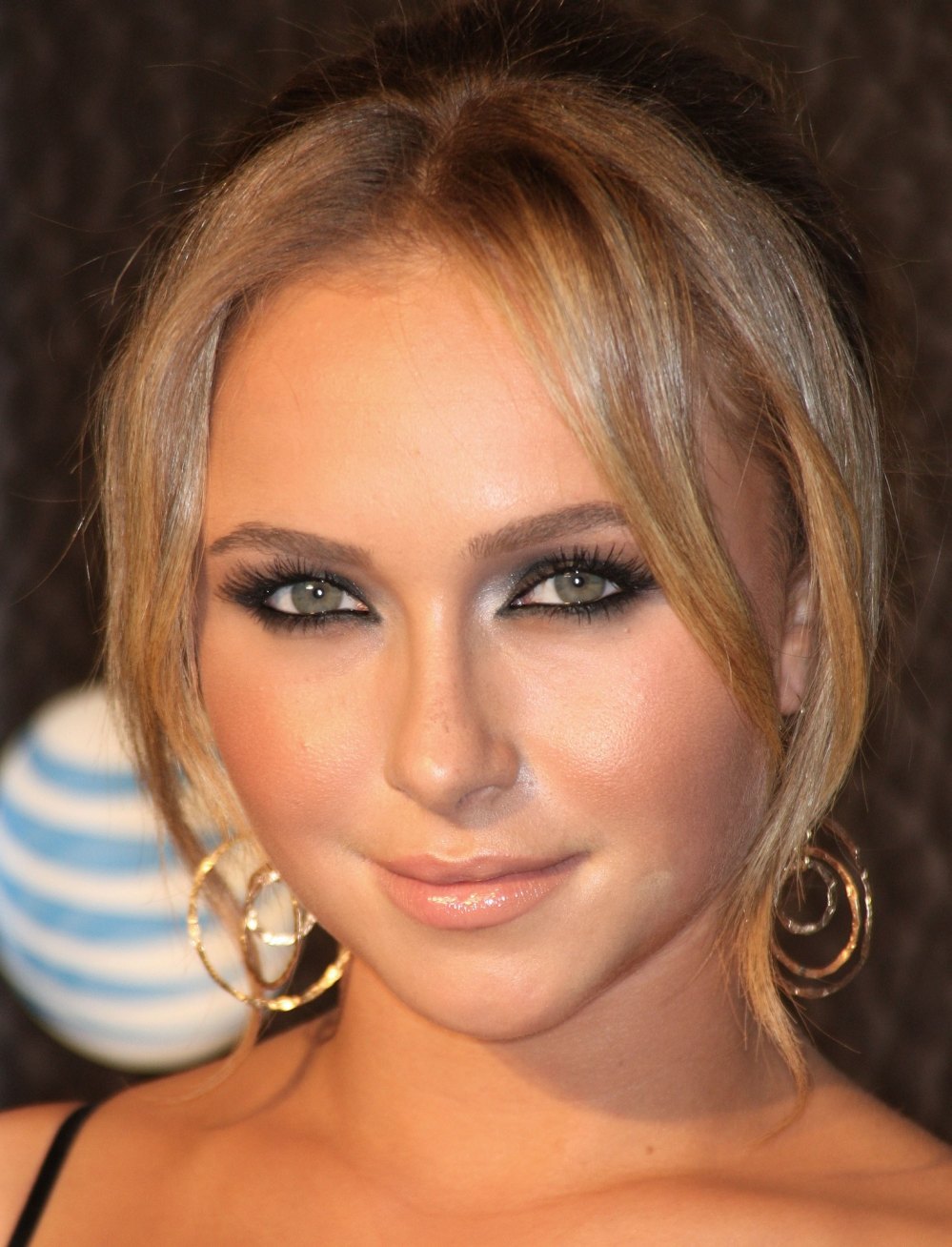 >Hayden Panettiere