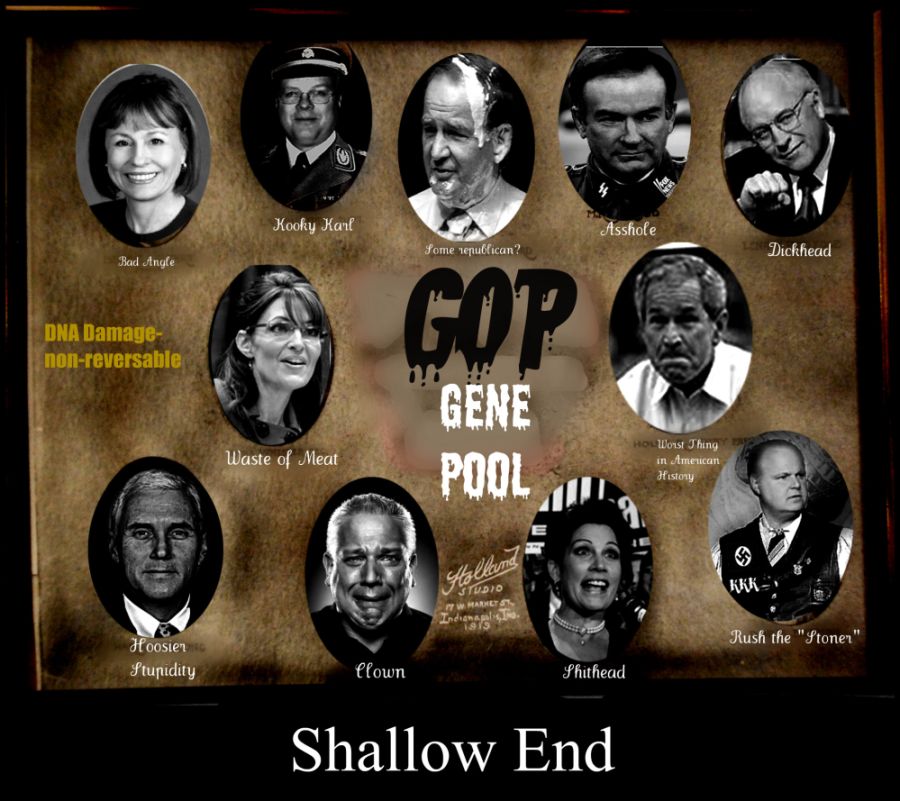 gop-gene-pool-810.jpg